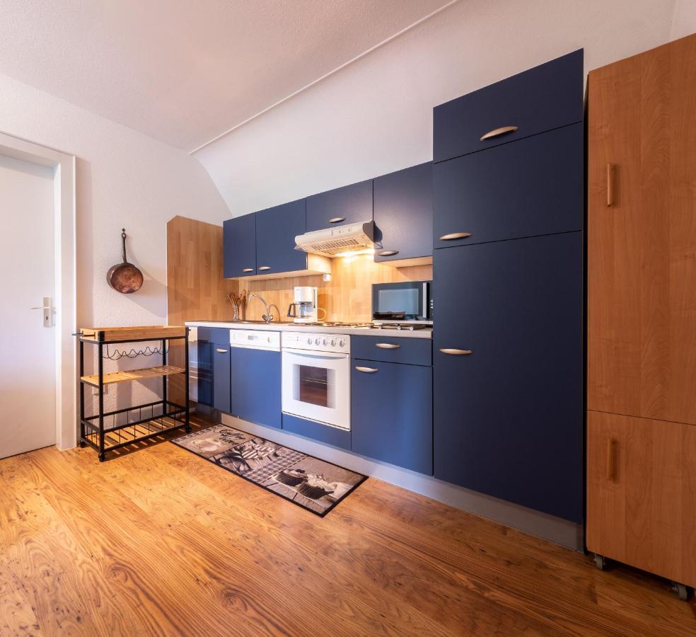 Les Quatre Vents Daire Thannenkirch Dış mekan fotoğraf